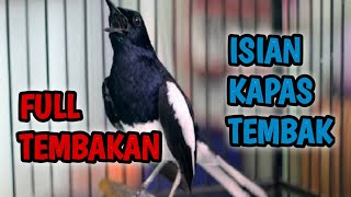 MASTERAN KACER PALING MEWAH❗️ FULL ISIAN RASA KAPAS TEMBAK