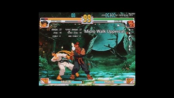 Extremely Difficult Combos on Makoto in 3rd STRIKE!