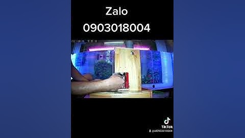 Bẫy chuột thông minh nhất A24 Việt Nam.