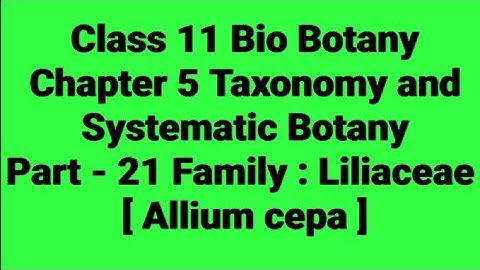 Class 11/Bio-Botany / Chapter 5- Taxonomy and Systematic Botany