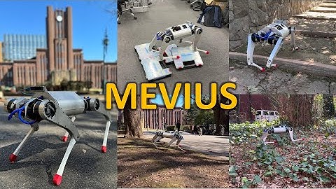 MEVIUS: A Quadruped Robot Easily Constructed through E-Commerce (Humanoids 2024)