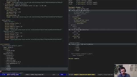 Dharhas Pothina - Introducing QHub | JupyterCon 2020