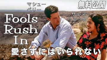 【🎥本編無料公開中🎥】マシュー・ペリー主演 90年代ラブロマンス『愛さずにはいられない』（字幕版）【映画フル公開】
