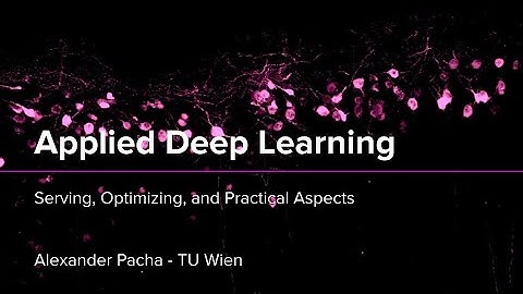 Applied Deep Learning 2025 - Lecture 12 - Serving, Optimizing, and Practical Aspects