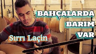 SIRRI LAÇİN ~ BAHÇALARDA BARIM VAR (GEL GEL KARAGÖZ) Resimi