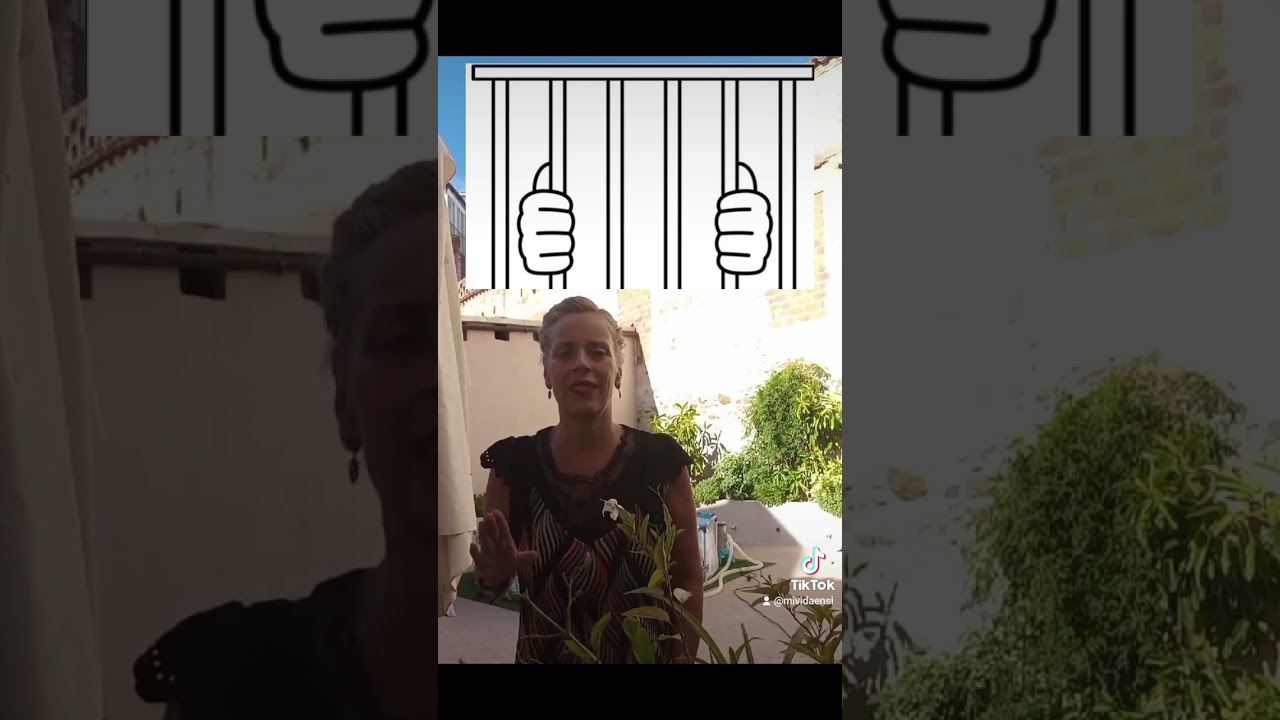 Sanciones Ley Bienestar Animal