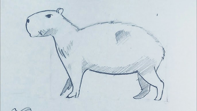 SERÁ QUE É A FILÓ? Graziela Ramos #capivara #desenhar #drawing #animallover  #amizade #capivaras 