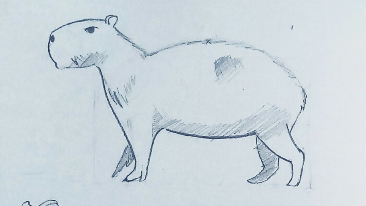 como desenhar uma capivara de corpo inteiro 