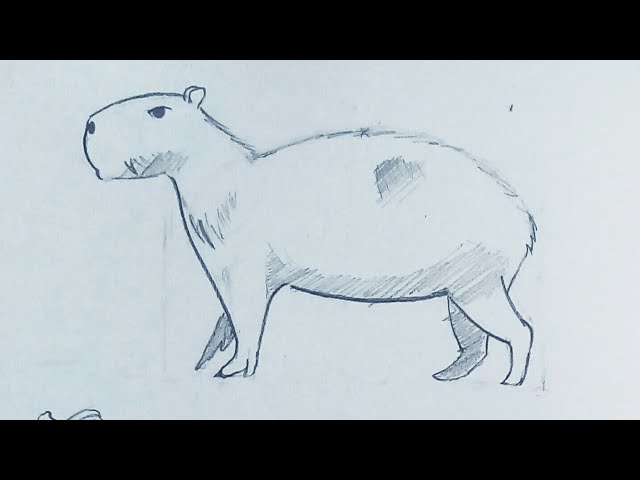 COMO DESENHAR uma CAPIVARA BABY com a Dai Oliveira 