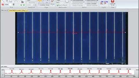 Measure Objects with Image-Pro Insight Software