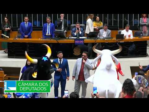 PLENÁRIO