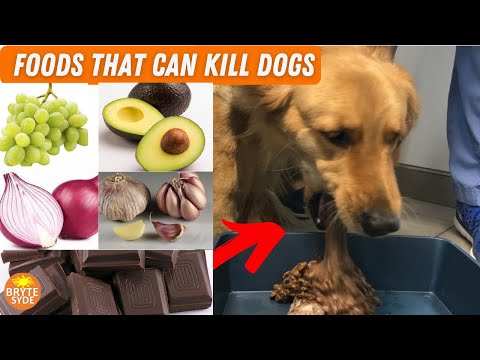 वीडियो: क्या मोंटब्रेटिया कुत्तों के लिए जहरीला है?