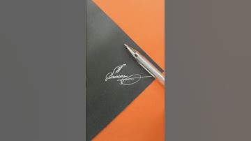 Swooping Style 🦅 | Shehbaz