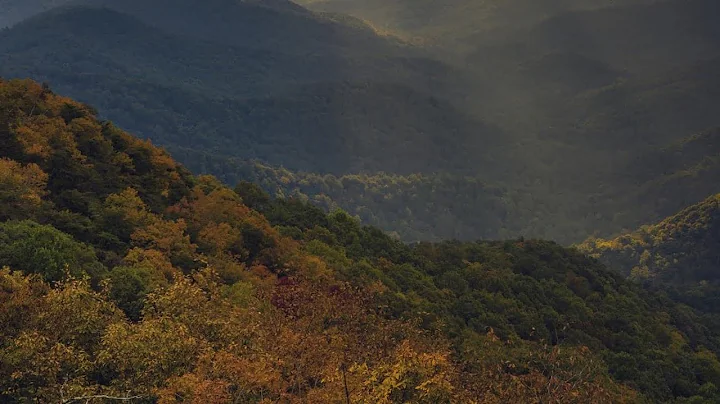 North Georgia Leaf Watch II
