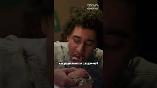 Как и почему развивается ожирение? Бариатрический хирург про лечение ожирения и избыточный вес