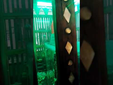 مقام وقبر سيدي سلطان عبدالعال البدوي بمسجد القطب الصوفي أحمد البدوي بمدينة طنطا بجمهورية مصر العربية  مقام وقبر سيدي سلطان عبدالعال البدوي بمسجد القطب الصوفي أحمد البدوي بمدينة طنطا بجمهورية مصر العربية