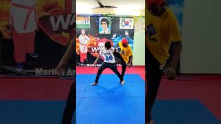 throw technique Pencak Silat / Wushu sanda