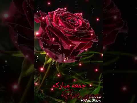 بهدي الورد لعمري