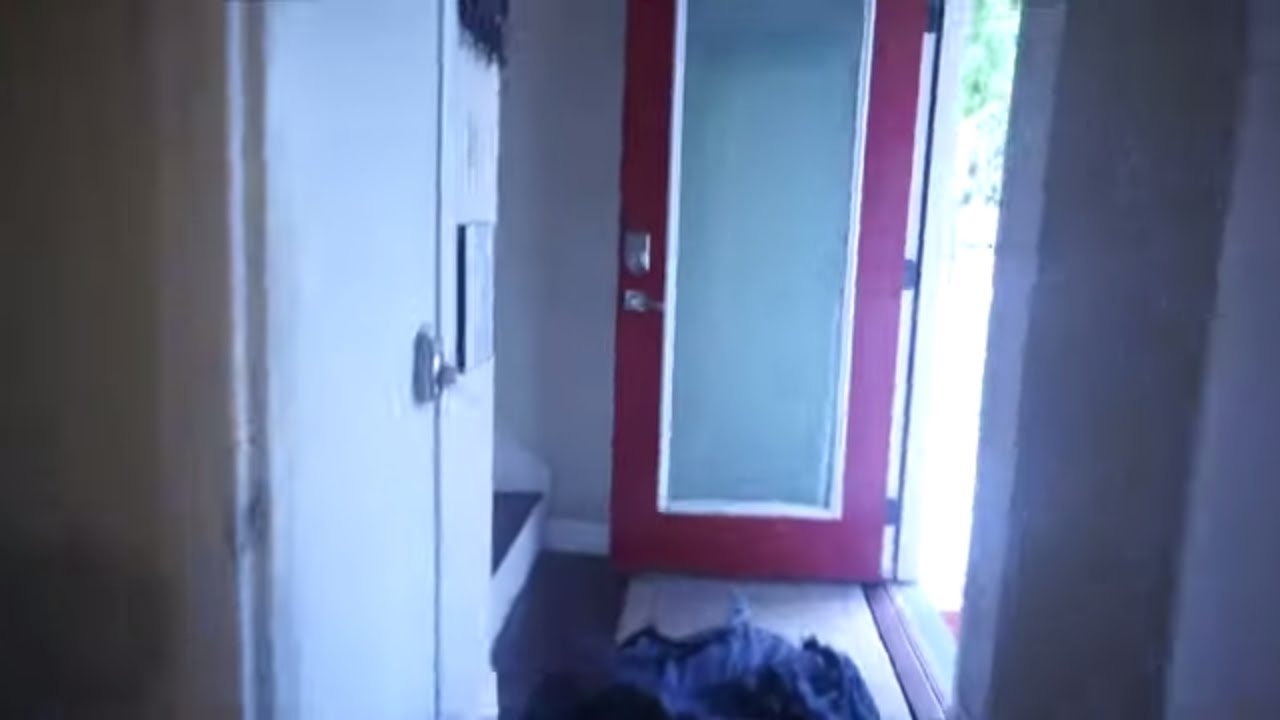 Most Ratchet House Tour Ever , a cat got in the house. YouTube