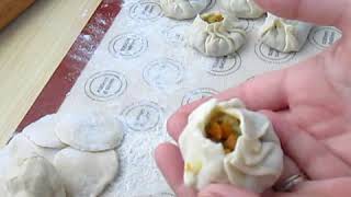 Raviolis chinois à la vapeur et grillés عجائن صينية مطبوخة على البخار بحشوة الخضار