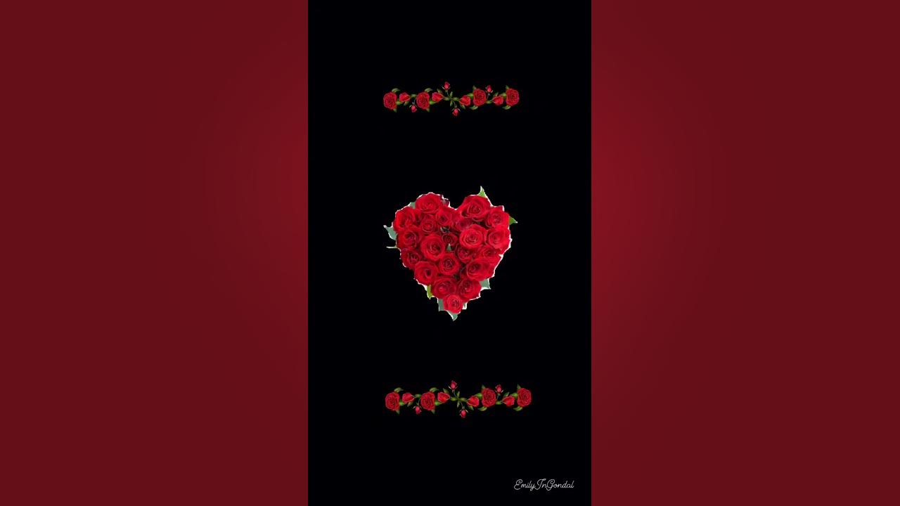 An EmilyInGondal Art Film: Seal  - A Kiss From A Rose