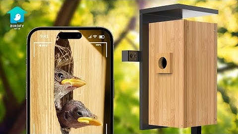 Now on Kickstarter: Birdfy Nest: A Dual-Camera Smart Bird House