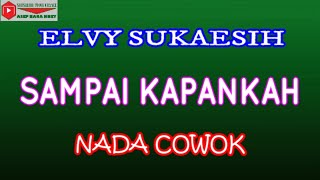 SAMPAI KAPANKAH NADA COWO (COVER) KARAOKE DANGDUT