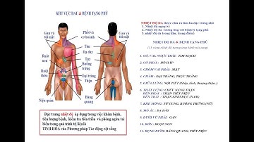 BHYHCT   BỆNH SUY NHƯỢC CƠ THỂ   P1