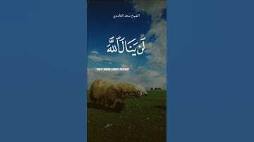 (سورة الحج)الآية-37#بصوت #الشيخ #سعد_الغامدي #اكسبلور #القرآن_الكريم