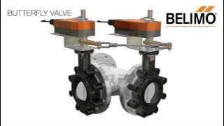 Belimo 3-Way Butterfly Valve