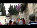 Израиль Иерусалим экускурсия в Гефсиманский сад