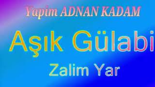 Aşik Gülabi Baba Resimi