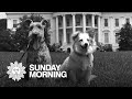 All the presidents' pets: JFK's canine détente