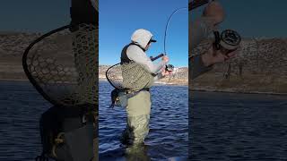 How to Become a Great Fly Angler