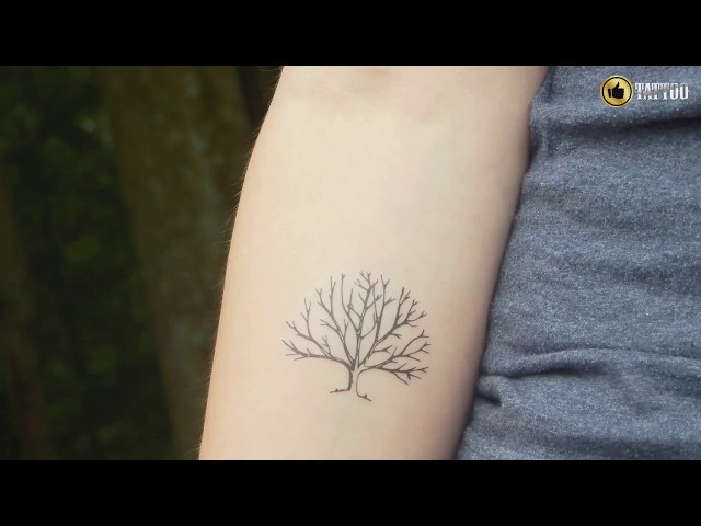 50+ Beautiful Tree Tattoo Ideas for Women – MyBodiArt