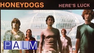 Video thumbnail of "Honeydogs: Sour Grapes"