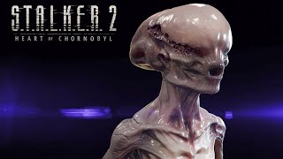 S.T.A.L.K.E.R 2 ЗАПРЕТИЛИ В РОССИИ ! ГОСИЗМЕНА ЗА СТАЛКЕР 2 !
