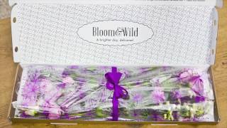 Bloom & Wild in 60 seconds screenshot 3