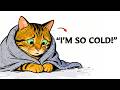 90% of Owners Make THESE Winter Mistakes, And Cats Suffer Silently...