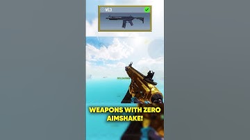 Weapons With Zero Aimshake in CODM!