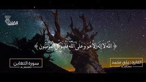 تلاوة من سورة التغابن | بصوت القارئ : عالي محمد هاشم