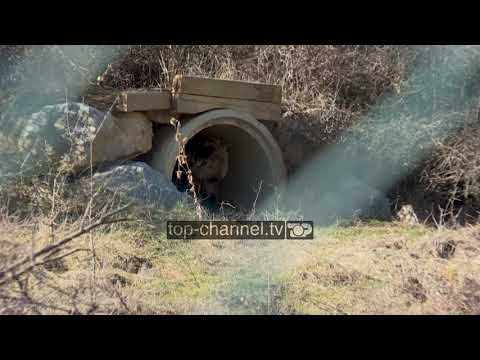 Video: A mund të xhirosh në park?