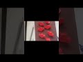 Easy Pop up flower gift ideas #craft #diy #giftideas #youtubeshorts #shotrs #handmade