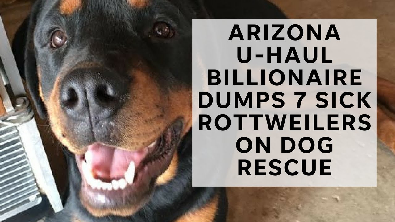 U Haul Billionaires Shamed Into Paying Vet Bills YouTube U Haul Billionaires Shamed Into Paying Vet Bills YouTube