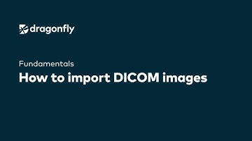 Dragonfly Fundamentals | How to import DICOM images in Dragonfly