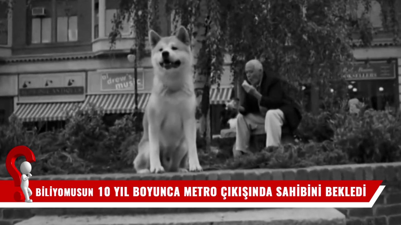 10 Yil Boyunca Metro Cikisinda Sahibini Bekleyen Kopek Hachiko Youtube