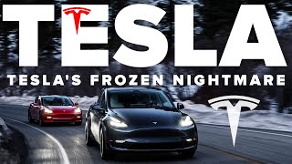 Tesla&#39;s Frozen Media NIGHTMARE | Here&#39;s What Really Happened