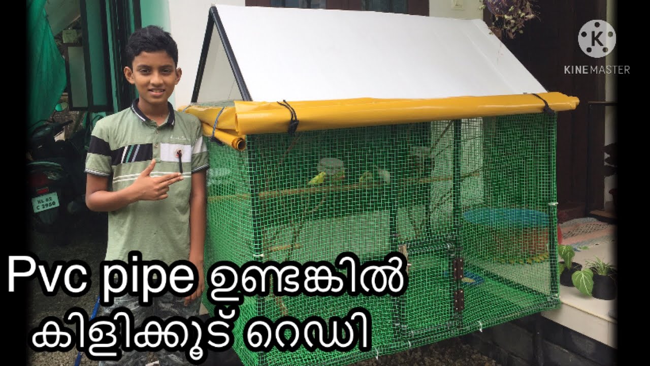 Love birds cage making with pvc pipe YouTube