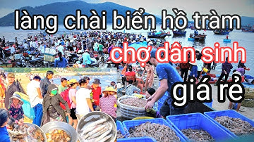 BIỂN HỒ TRÀM VŨNG TÀU / LÀNG CHÀI HỒ TRÀM / CHỢ HẢI SẢN DÂN SINH GIÁ RẺ