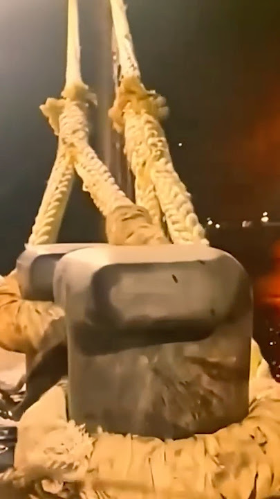 If You Hear This Sound, It's Best to Run Away Immediately! 😰😱